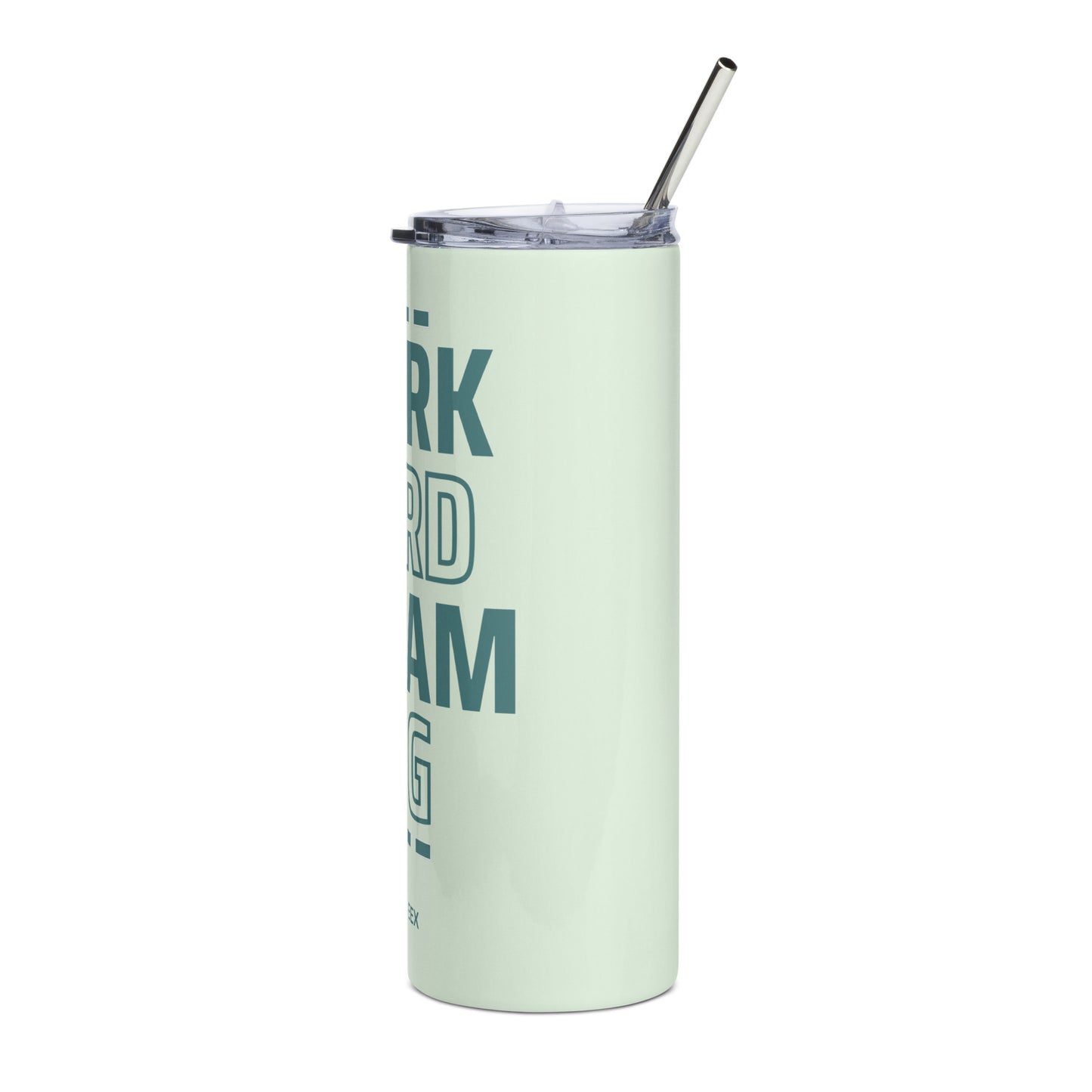 Stainless steel tumbler