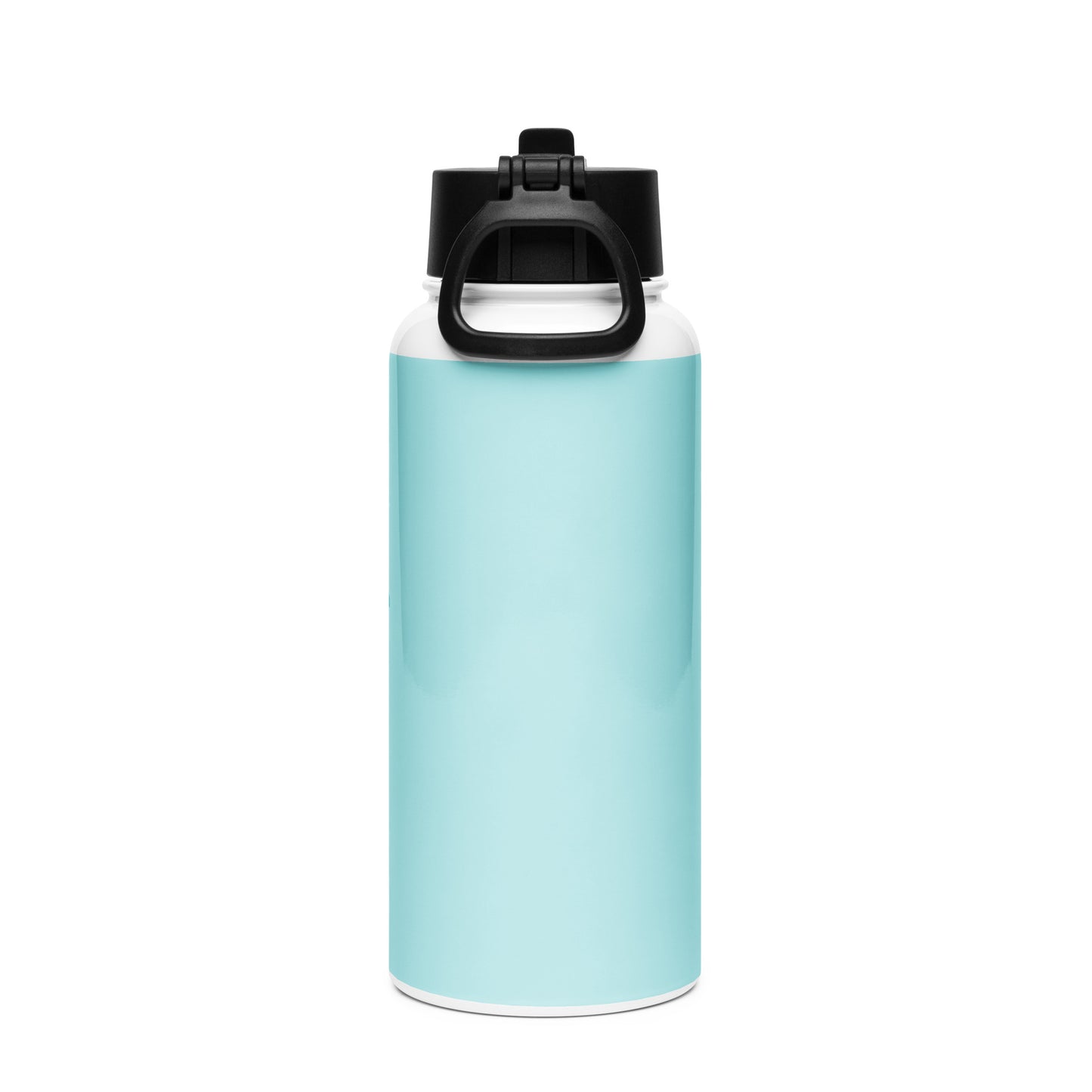 Stainless steel water bottle with a straw lid